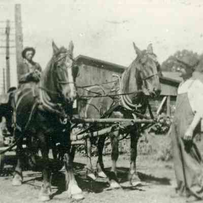 Homer Hubbard delivering coal.