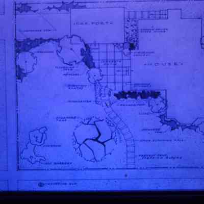 Landscaping plan for home on Biddle