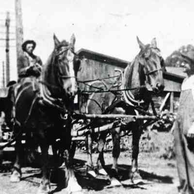 Farmer horse and wagon