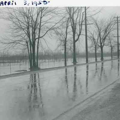 Van Born Road Flood 1950