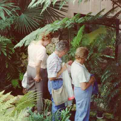 Garden Club members looking in the conservatory.