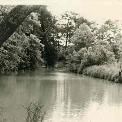 Rouge River
