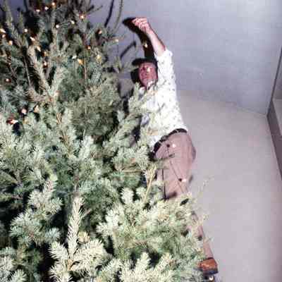 Decorating Christmas Tree