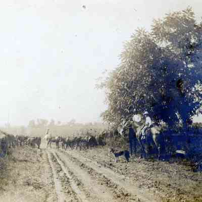 Cowboys in Missouri.