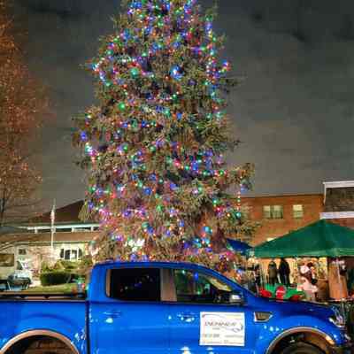 Demmer truck in front of tree
