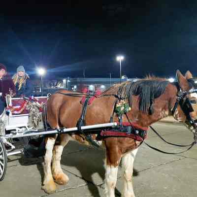 Horse and Carriage rides