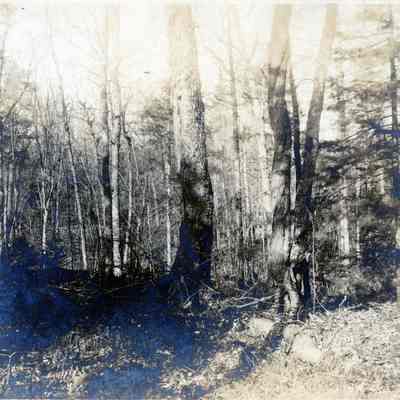 U.P. Hunting Trip