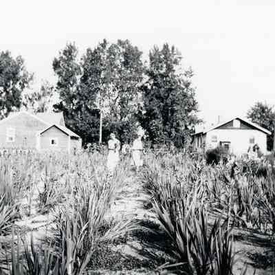 Nellie Schmidt and Mary C. Wendt on the East side of Second Street across from the Wendt House.