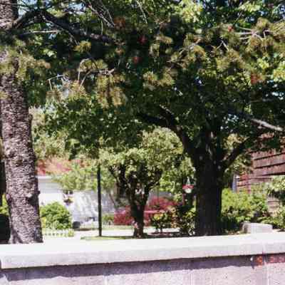 2002