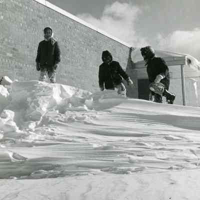 Snowstorm 1966