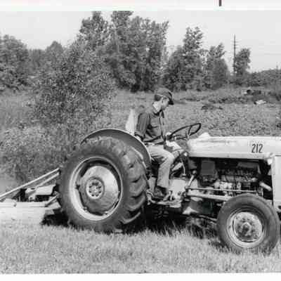 D.P.W Doing Weed Cutting
