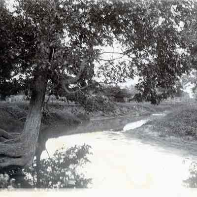 Rouge River