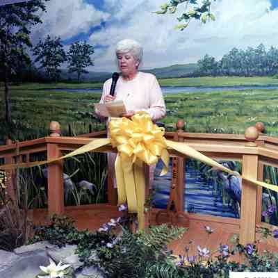 Donna McEachern
