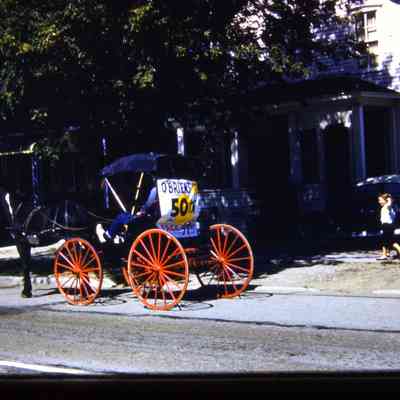 O'briens 50th anniversary horse and carriage ride