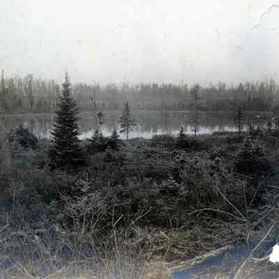U.P. Hunting Trip