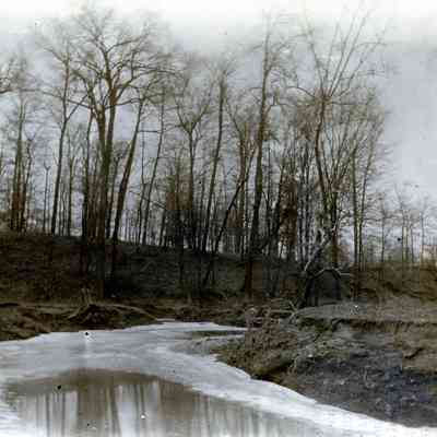The Lower Rouge River on Jamison's Flats.