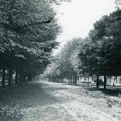 Main Street streetscape