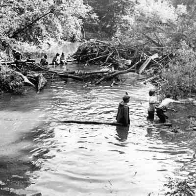 Rouge Cleanup 1972