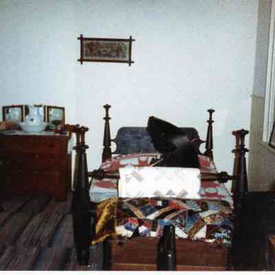 Museum Exhibits in November 1986