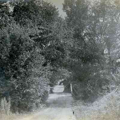Vinegar Hill on Newburg in Wayne Co, Michigan on Aug. 5, 1900.