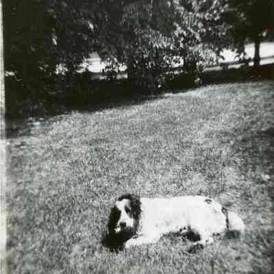 August in the 1940's