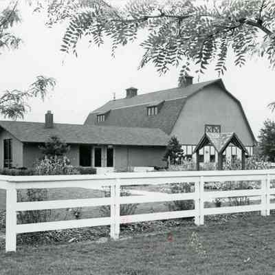 Barn. 1981