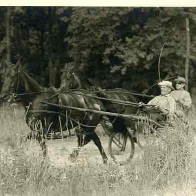 Horse Racing