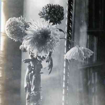 A flower arrangment.