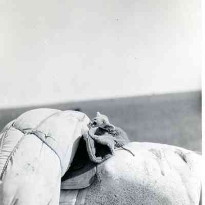 Day old lamb on horse back wrapped in sheephearder's coat.