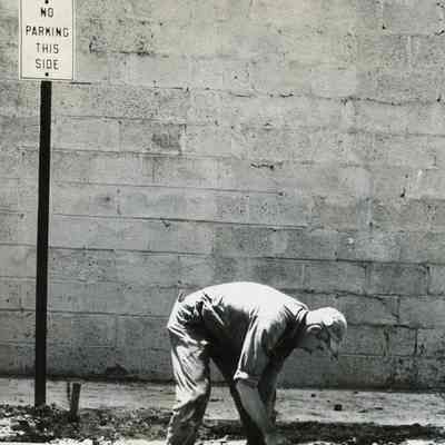 D.P.W workers laying the cement.