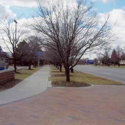 Looking South down Wayne road