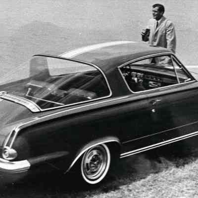 Barracuda