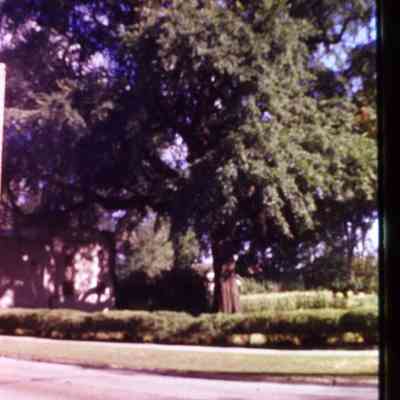 Slide. Unconfirmed, but this is likely the Elm