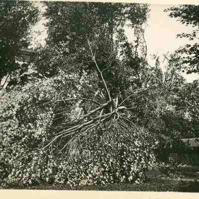 Park in Front of Methodist Episcopal Church After the Cyclone Storm on June 4, 1911