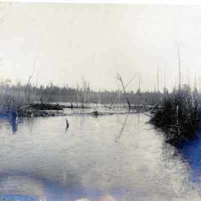 U.P. Hunting Trip