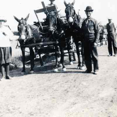 Horse and Cart