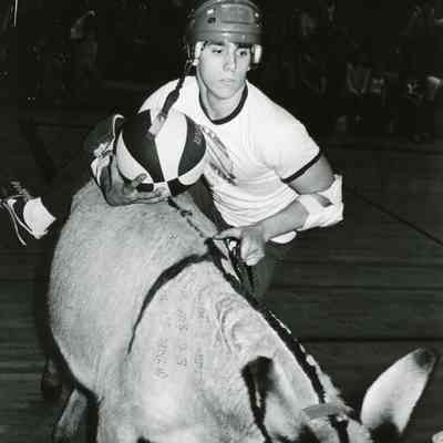 Donkey Ball Game