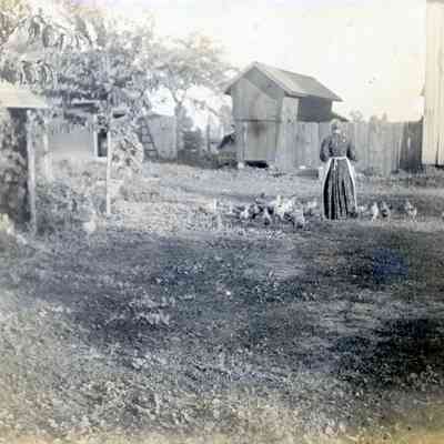 Women feeding chickens.