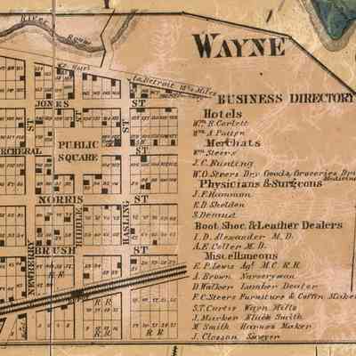 1860 Overhead map of Wayne