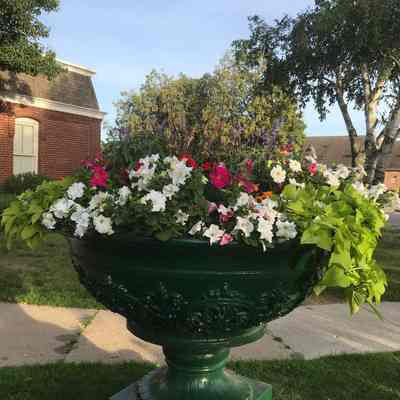 Planted Urn