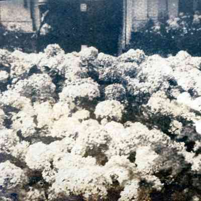 Belle Isle on June of 1917
