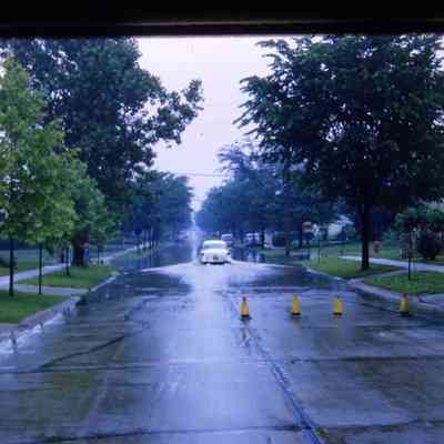 Winifred St.