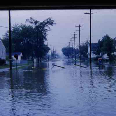 Winifred St.