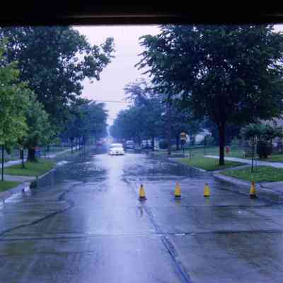 Winifred St.