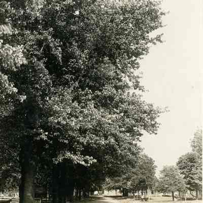 Unknown Roadway