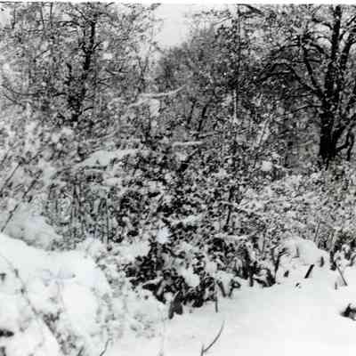 A snowstorm in May of 1924.