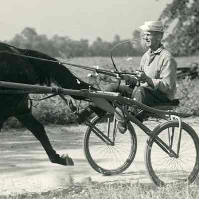 Horse Racing