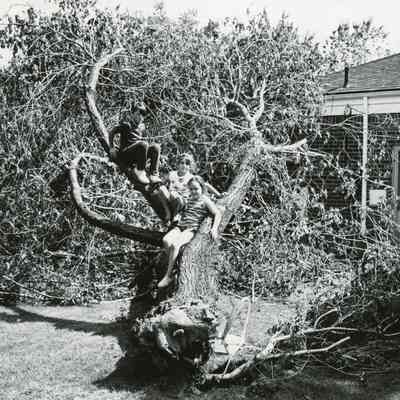 1971 Storm Aftermath at 33700 Gertrude