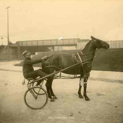 Horse Racing