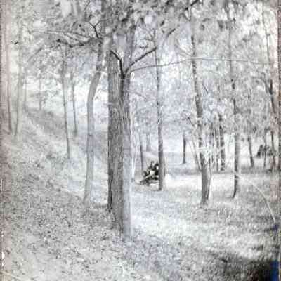 Hillside on the southside of Glenwood Cemetery along the Lower Rouge River on OCT 21, 1900.